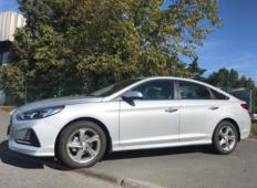 Аренда Hyundai Sonata 2019 в Санкт-Петербурге