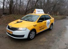 Аренда Skoda Rapid 2017 в Ростове-на-Дону