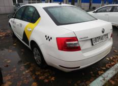 Аренда Skoda Octavia 2017 в Санкт-Петербурге