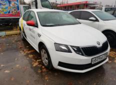 Аренда Skoda Octavia 2017 в Санкт-Петербурге