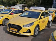 Аренда Hyundai Sonata 2019 в Москве и области