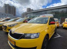 Аренда Skoda Rapid 2018 в Санкт-Петербурге