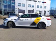 Аренда Kia Optima 2019 в Санкт-Петербурге