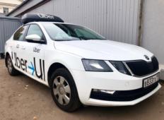 Аренда Skoda Octavia 2019 в Санкт-Петербурге