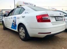 Аренда Skoda Octavia 2019 в Санкт-Петербурге