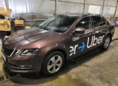 Аренда Skoda Octavia 2020 в Новосибирске