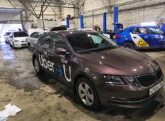 Аренда Skoda Octavia 2020 в Новосибирске