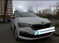Аренда Skoda Rapid 2020 в Санкт-Петербурге