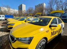 Аренда Skoda Rapid 2021 в Москве и области
