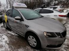 Аренда Skoda Octavia 2019 в Санкт-Петербурге