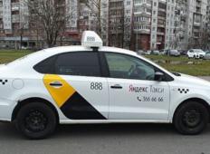 Аренда Volkswagen Polo 2019 в Санкт-Петербурге