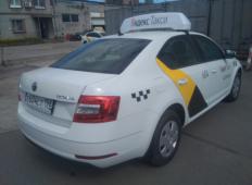 Аренда Skoda Octavia 2020 в Санкт-Петербурге