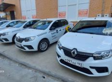 Аренда Renault Logan 2020 в Краснодаре