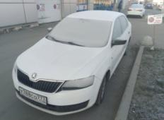 Аренда Skoda Rapid 2017 в Санкт-Петербурге