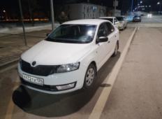 Аренда Skoda Rapid 2019 в Волгограде